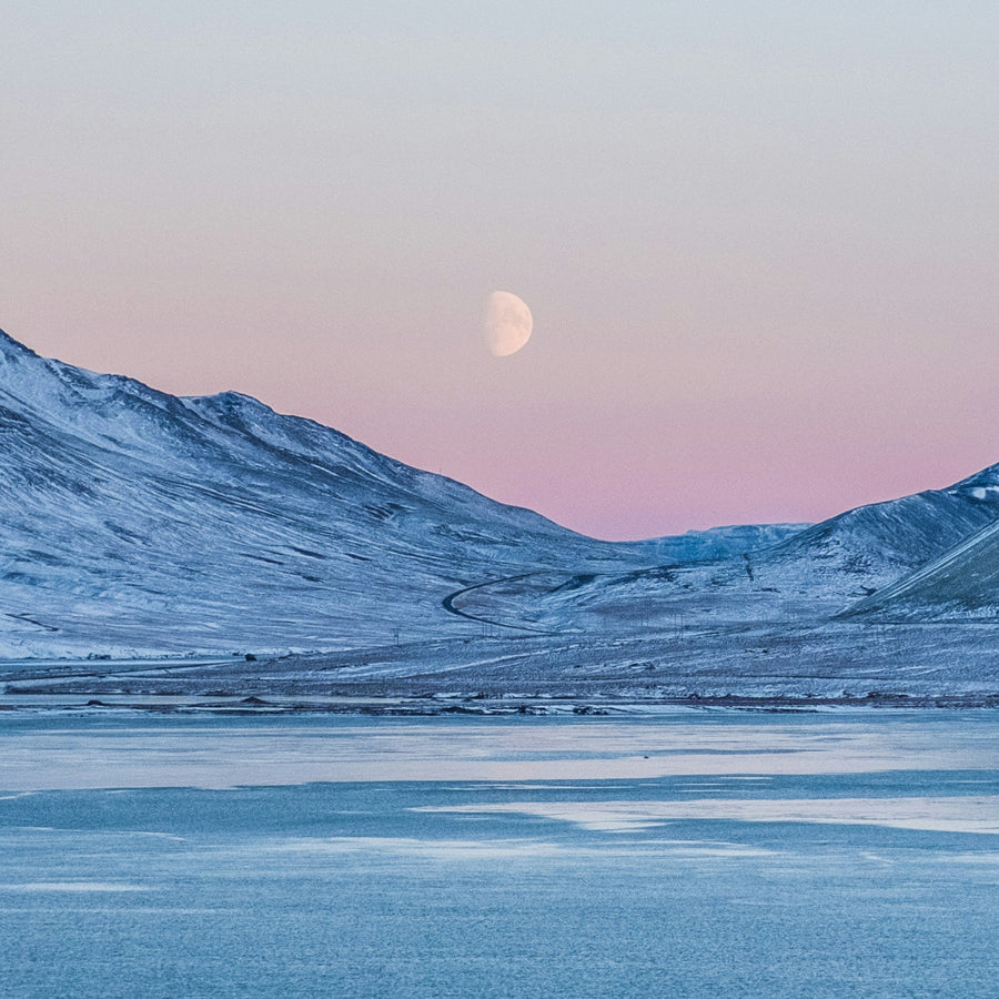 Novelty: Mont Cristal Poecile