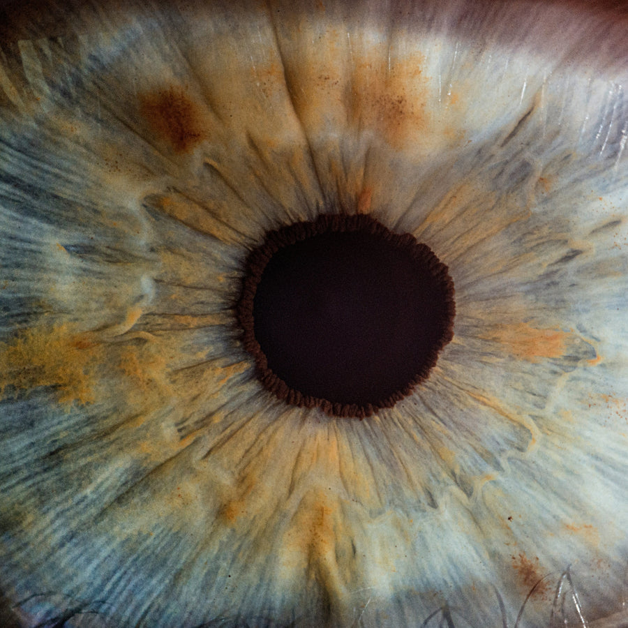 A new fragrance from Orto Parisi Risvelium