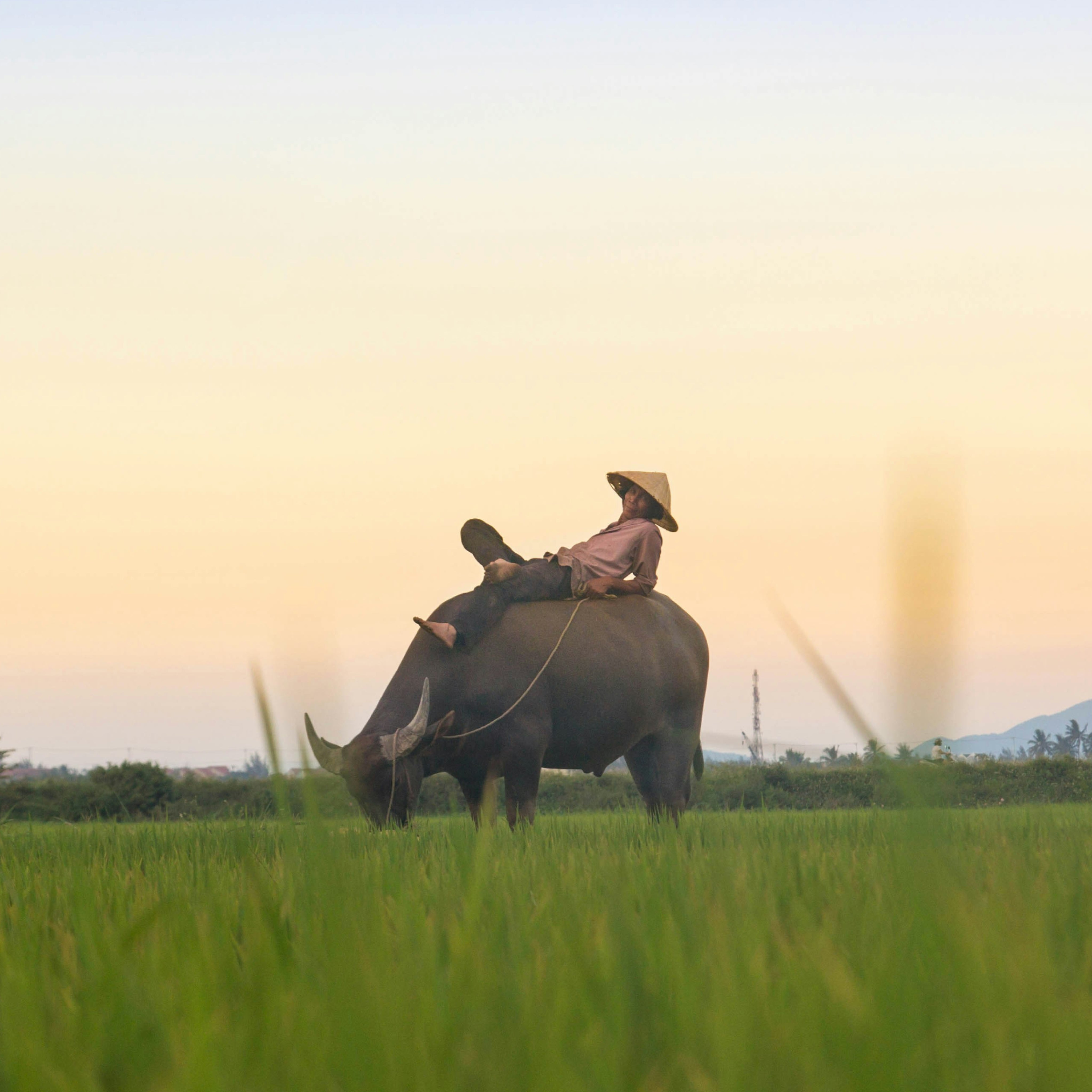 Discover unique perfumes inspired by Vietnam