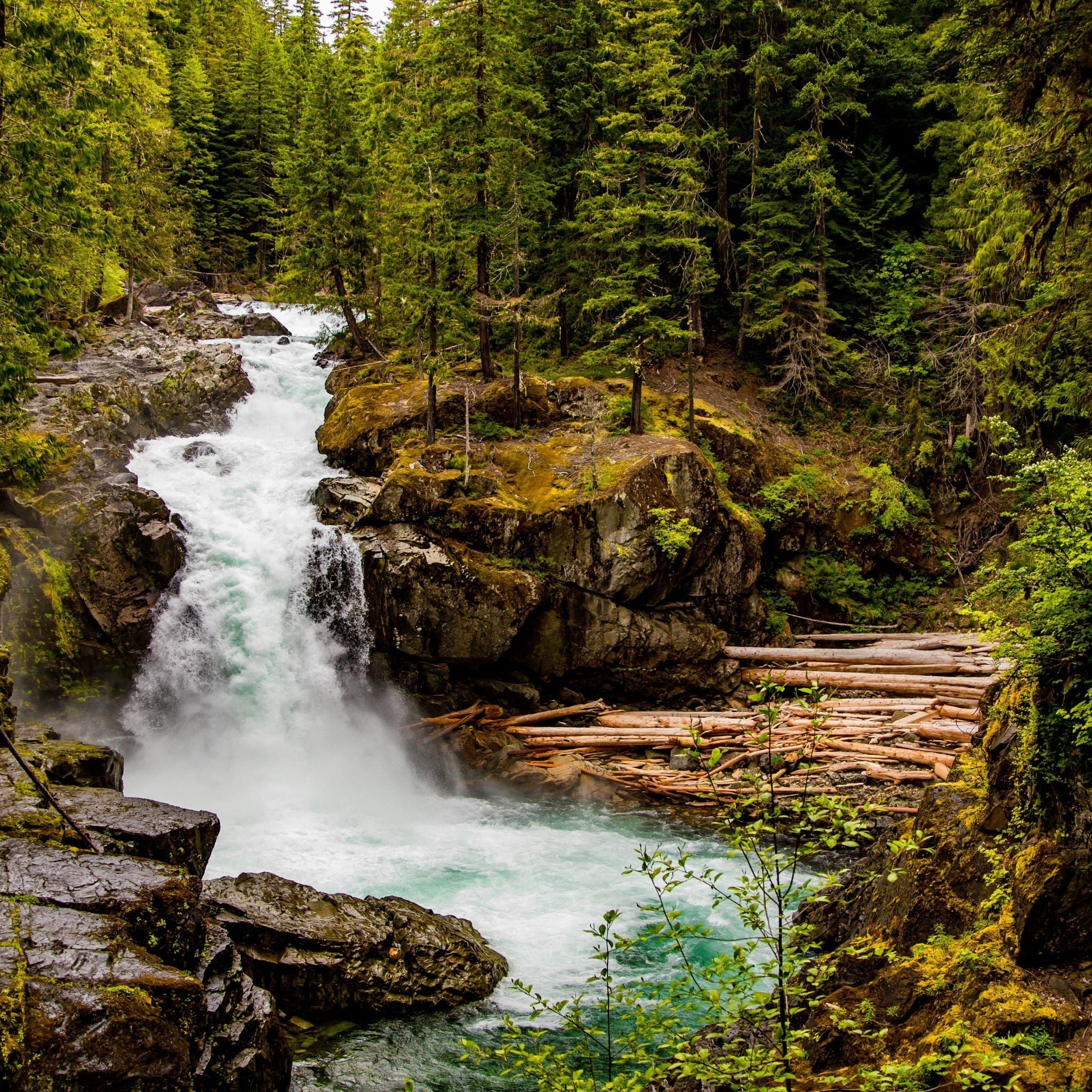 Your Guide to LESCENTO’s Top Fragrances