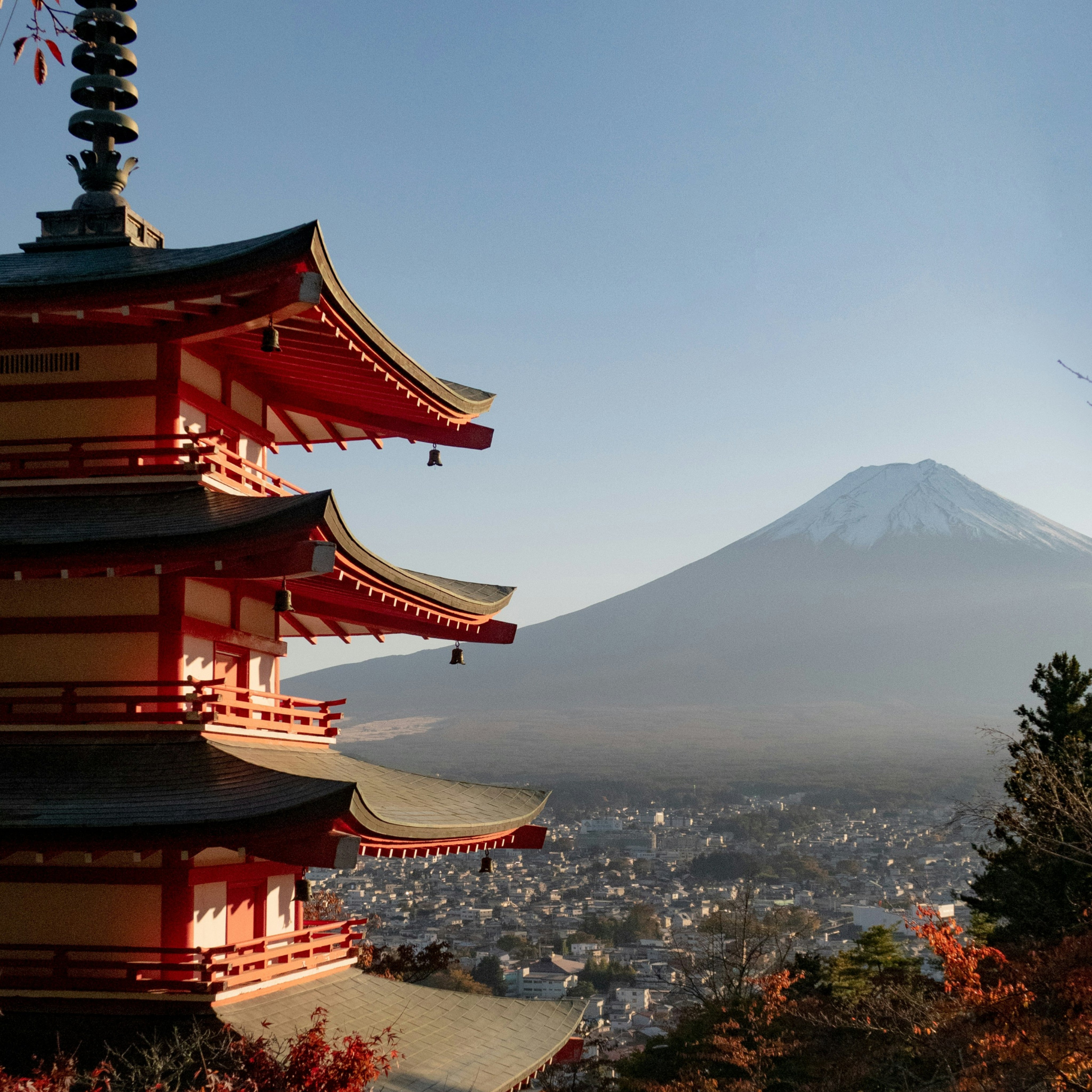 d’Annam’s Collection “Chapter Two_ Memories of Japan”