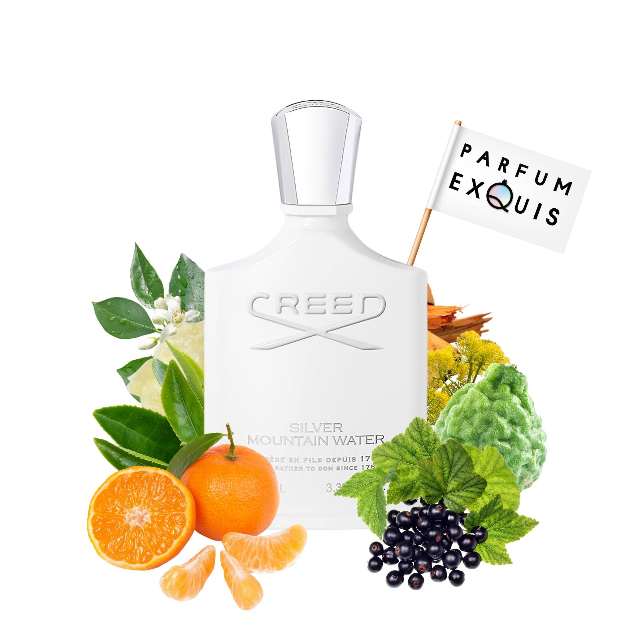 Silver Mountain Water | Creed | parfumexquis