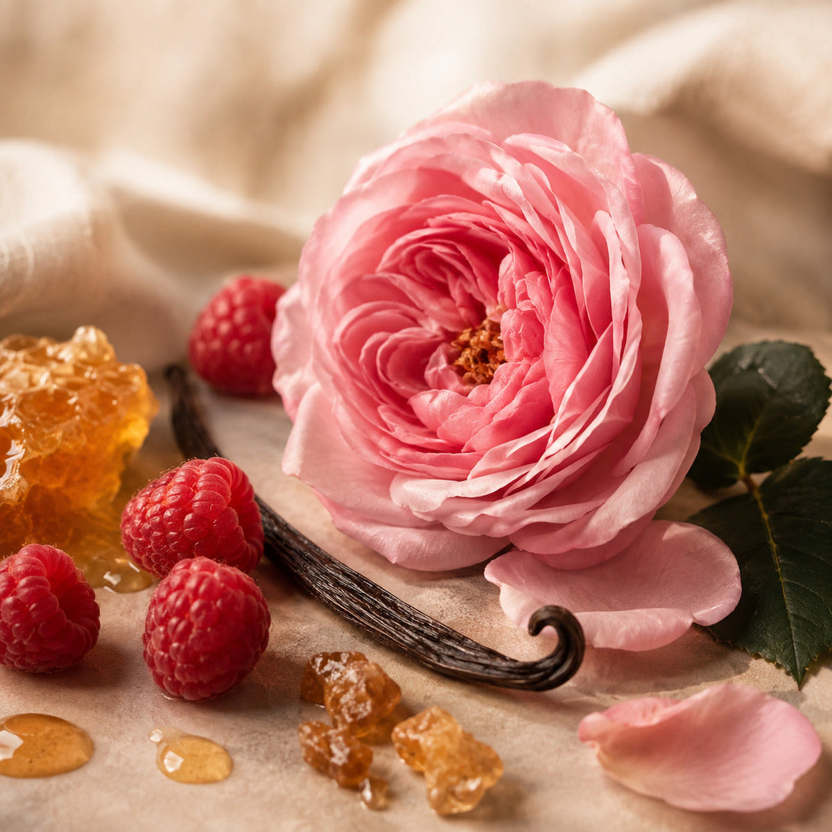 Rose Damascena