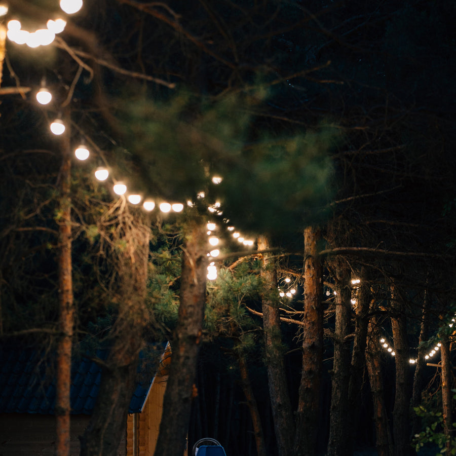 Terre Ambree Poecile: French Amber Perfume with Warm Woody Notes