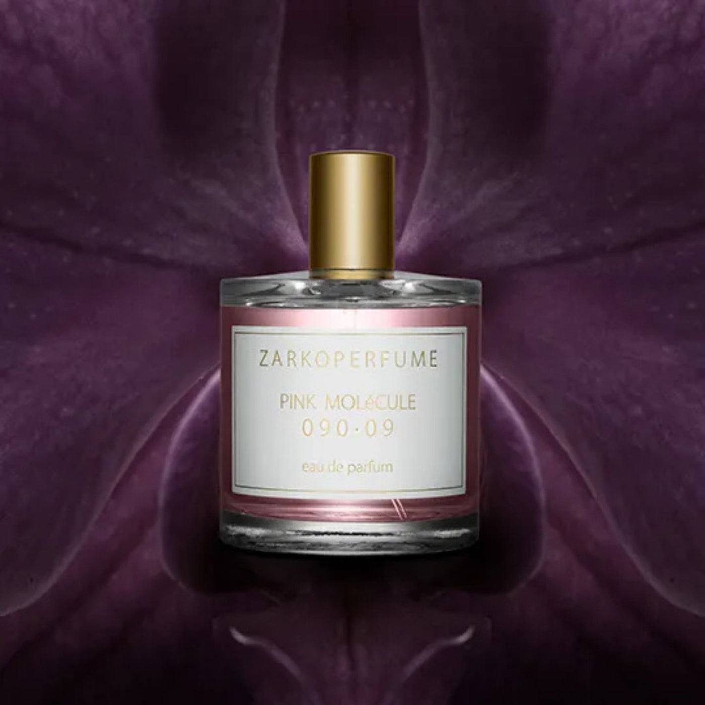 Pink Molecule by Zarkoperfume