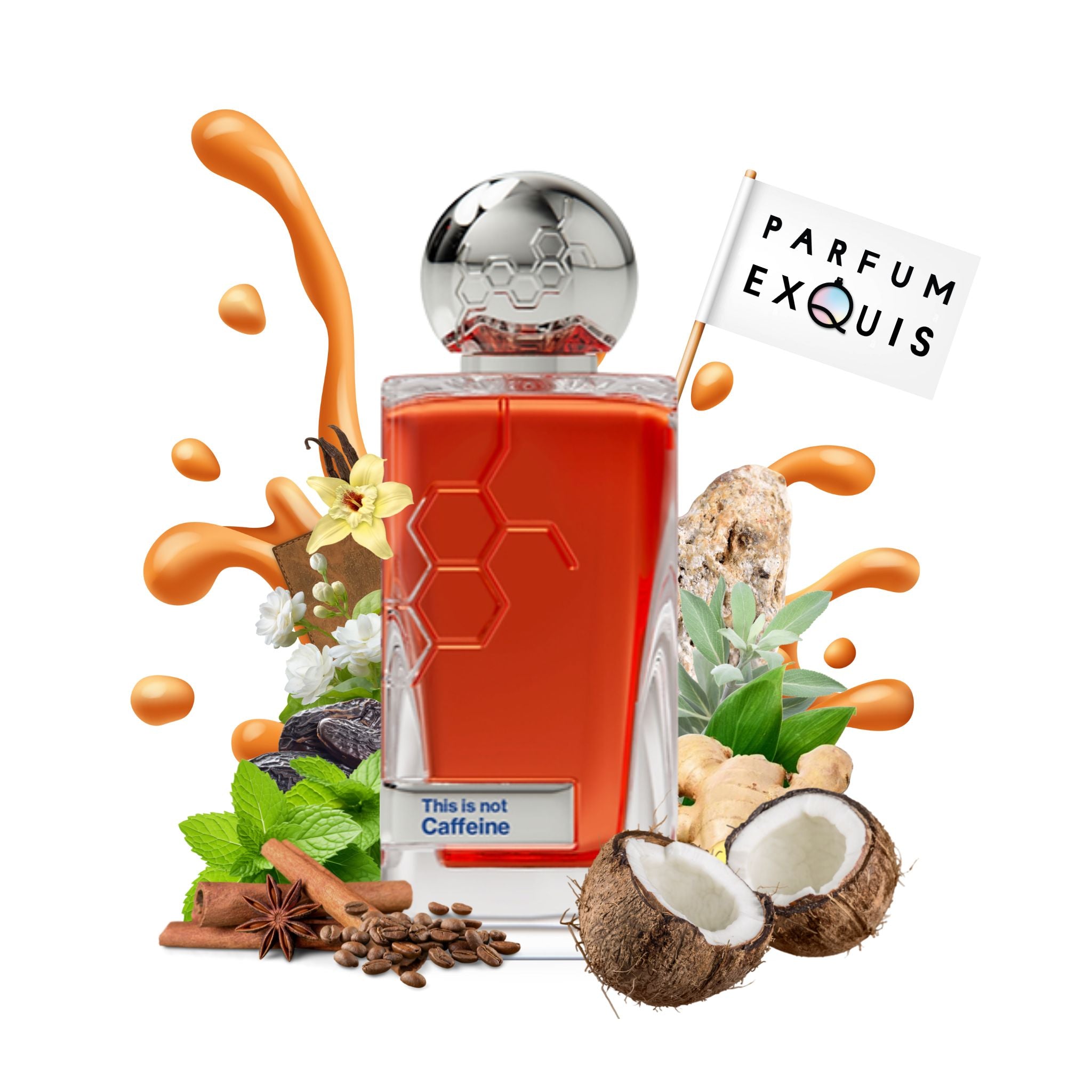 Perfume Caffeine Hormone Paris