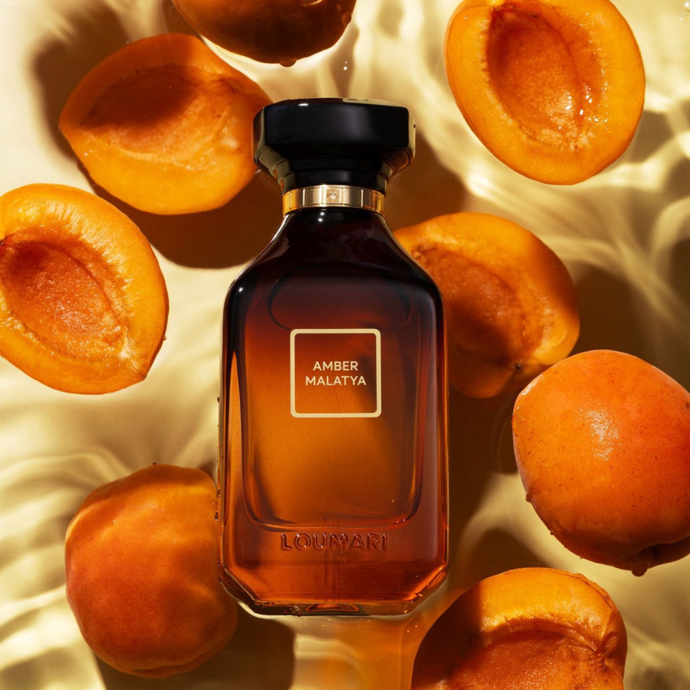 Fragrance Amber Malatya Loumari