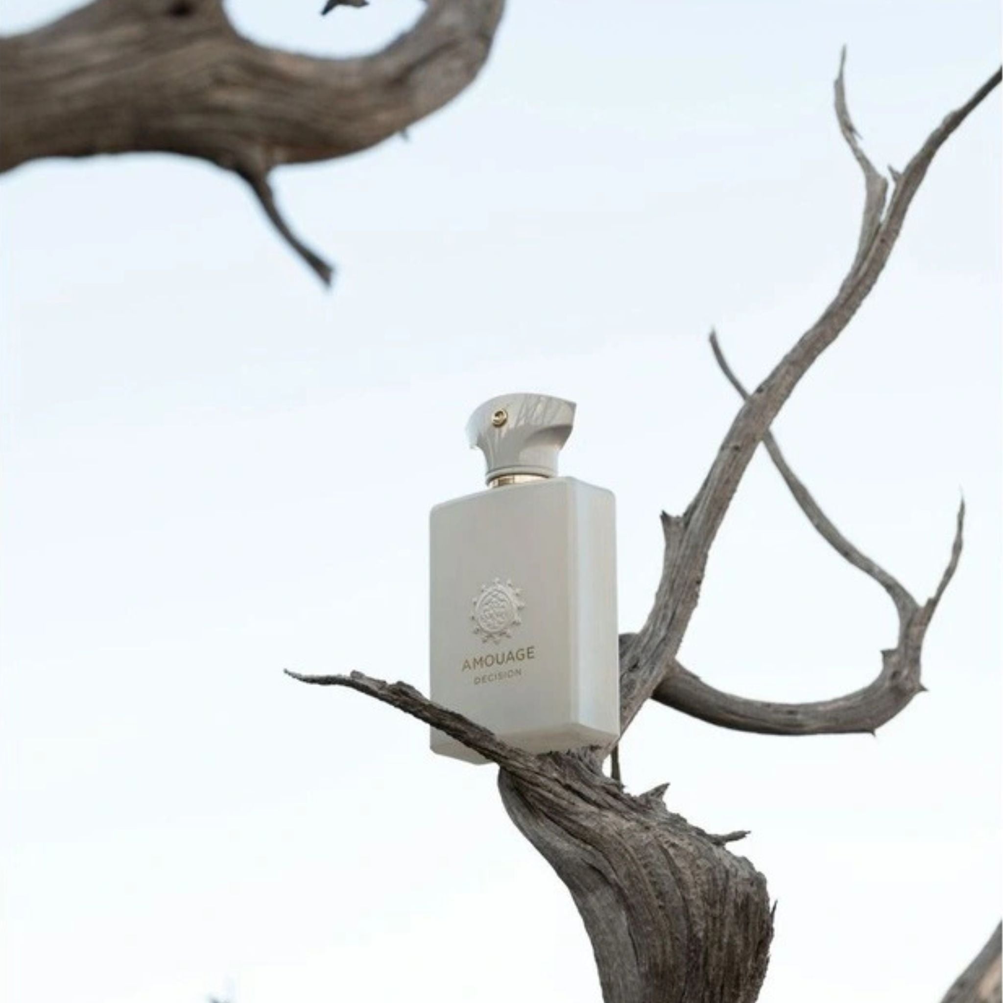 Decision Man Amouage Fragrance