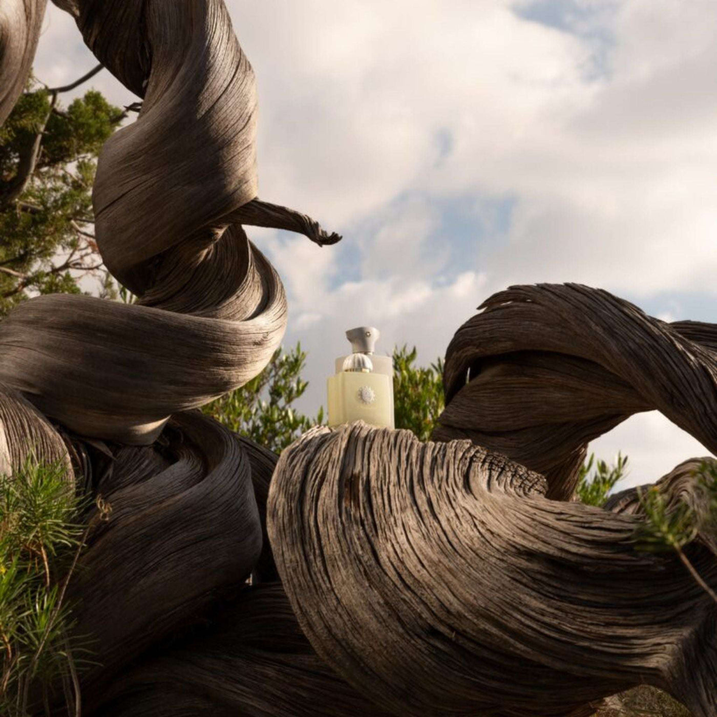 Existence Fragrance Amouage