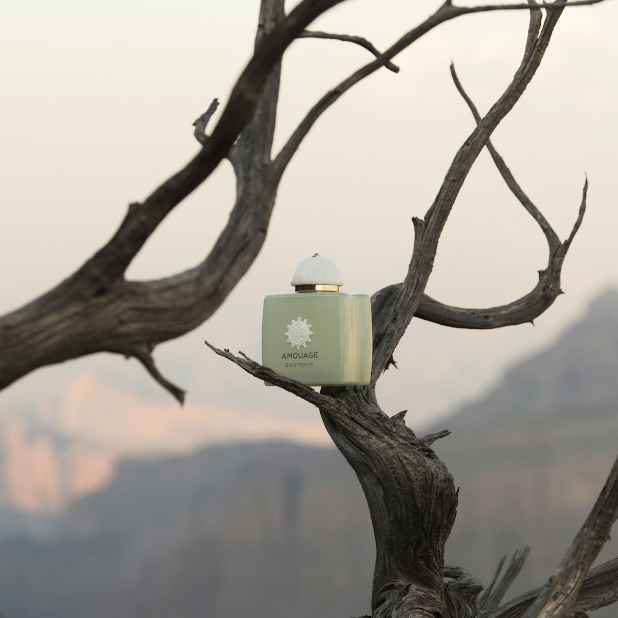 Fragrance Existence Amouage