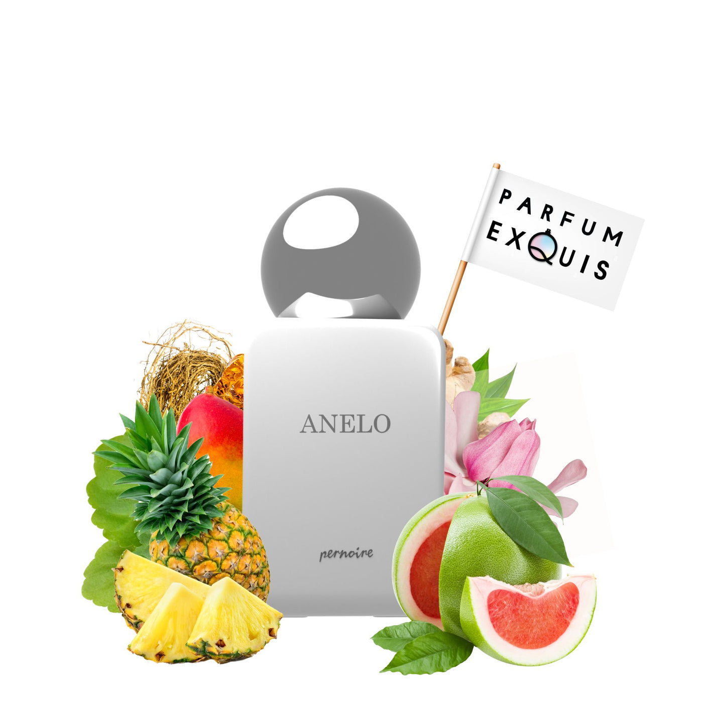 Anelo by Pernoire