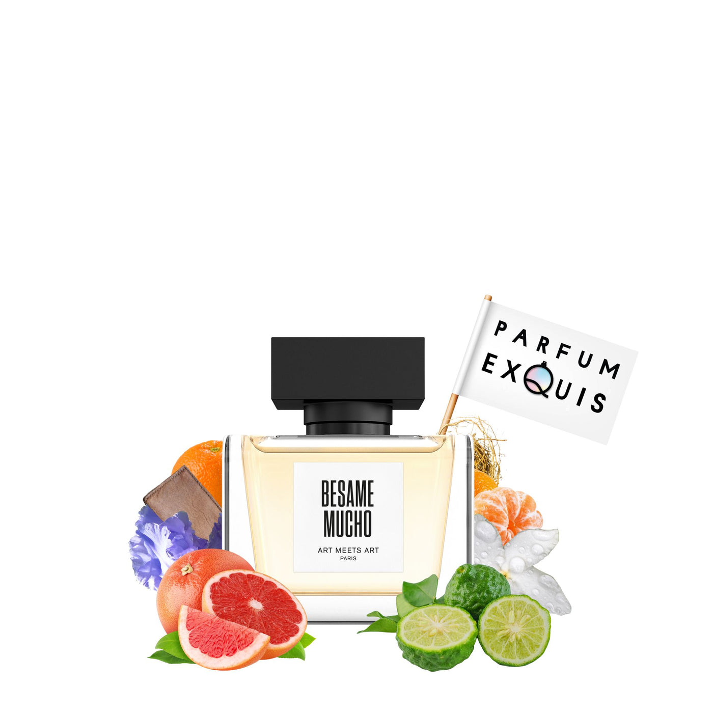 Art Meets Art Besame Mucho 