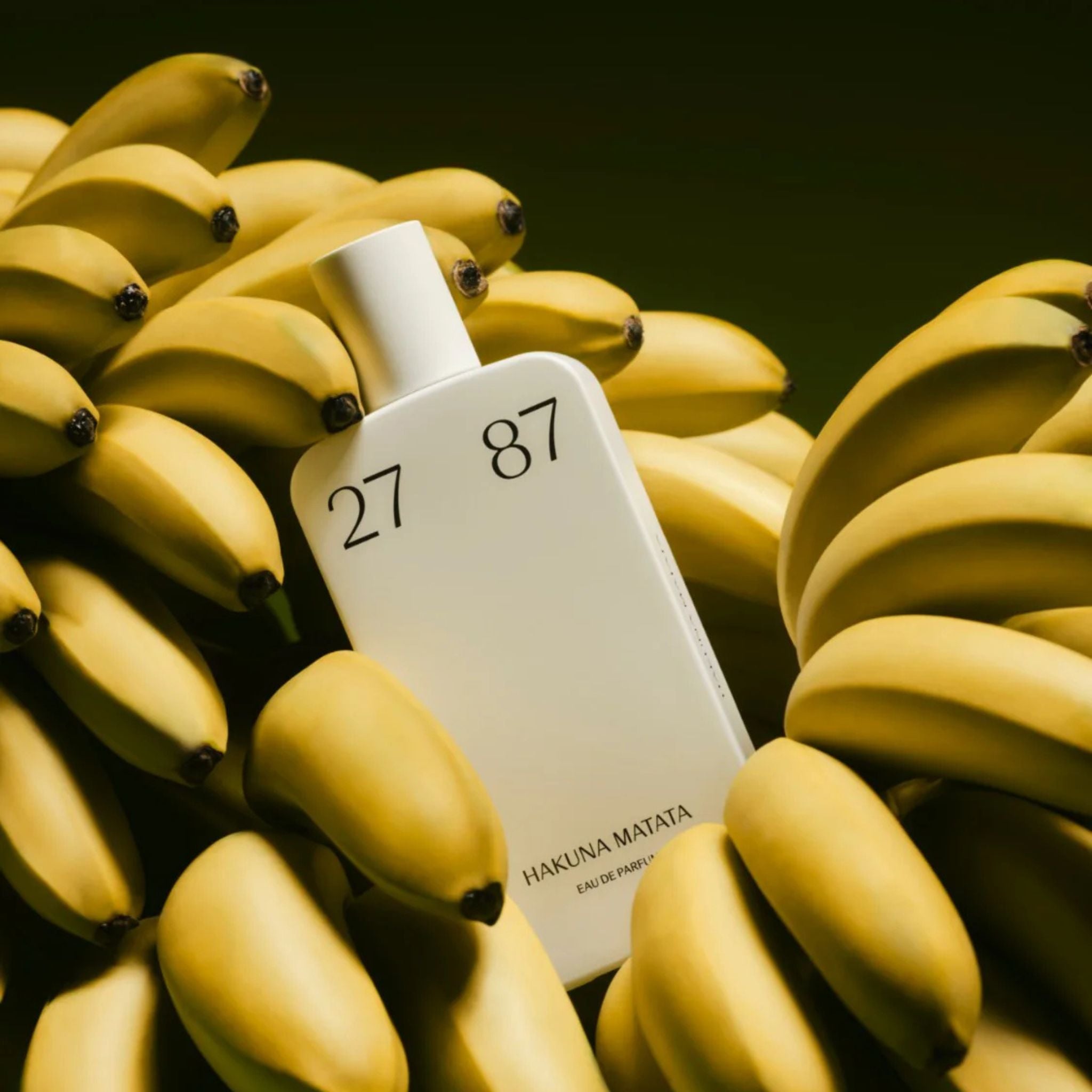 Fragrance Hakuna Matata 27 87