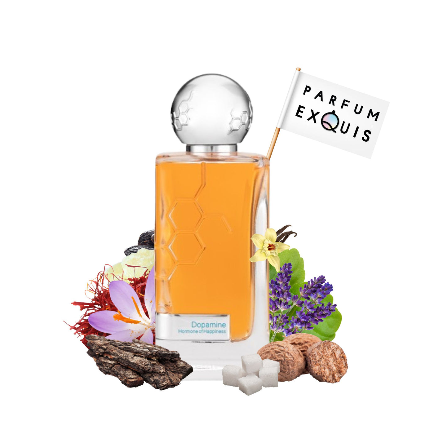 Perfume Hormone Paris Dopamine