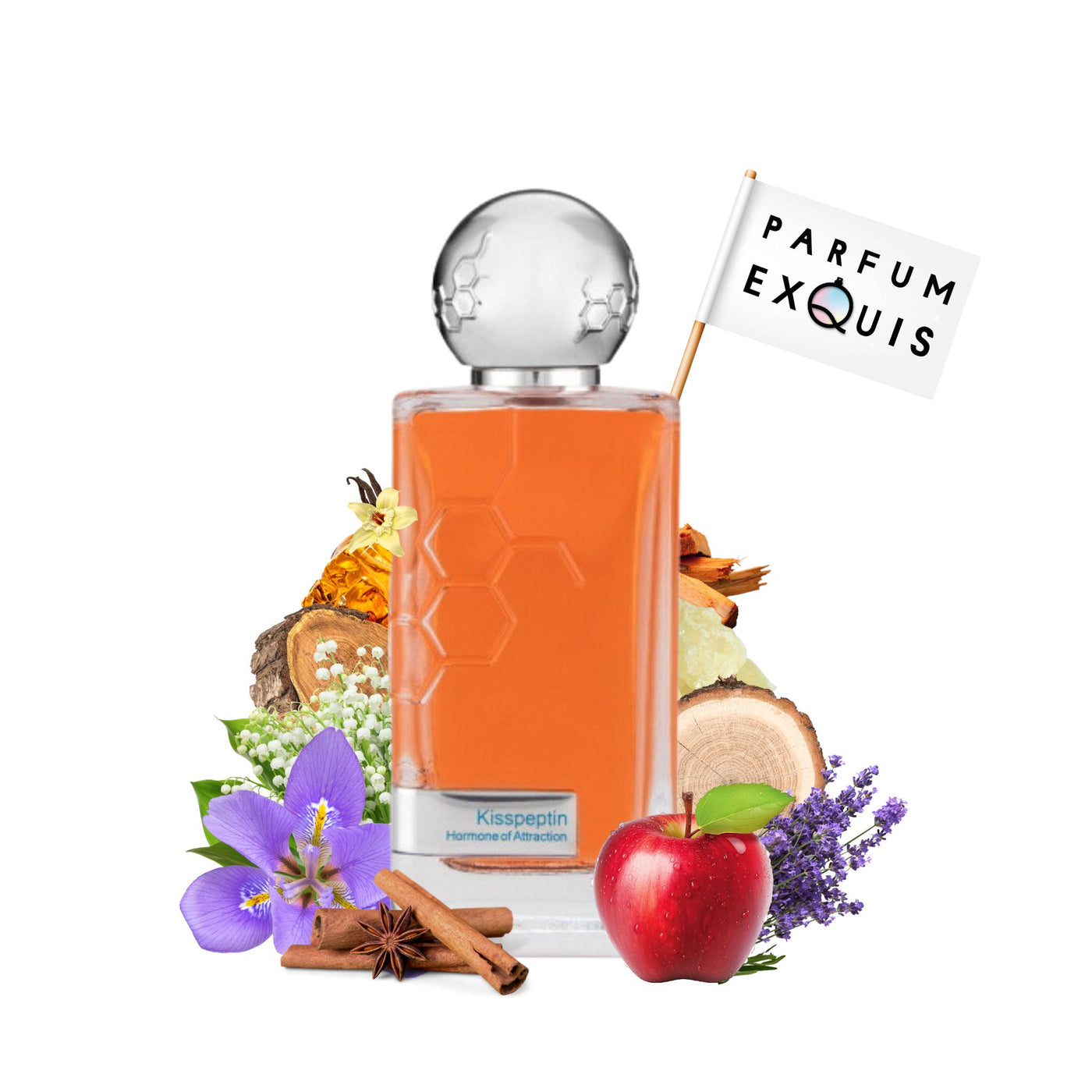 Perfume Hormone Paris Kisspeptin