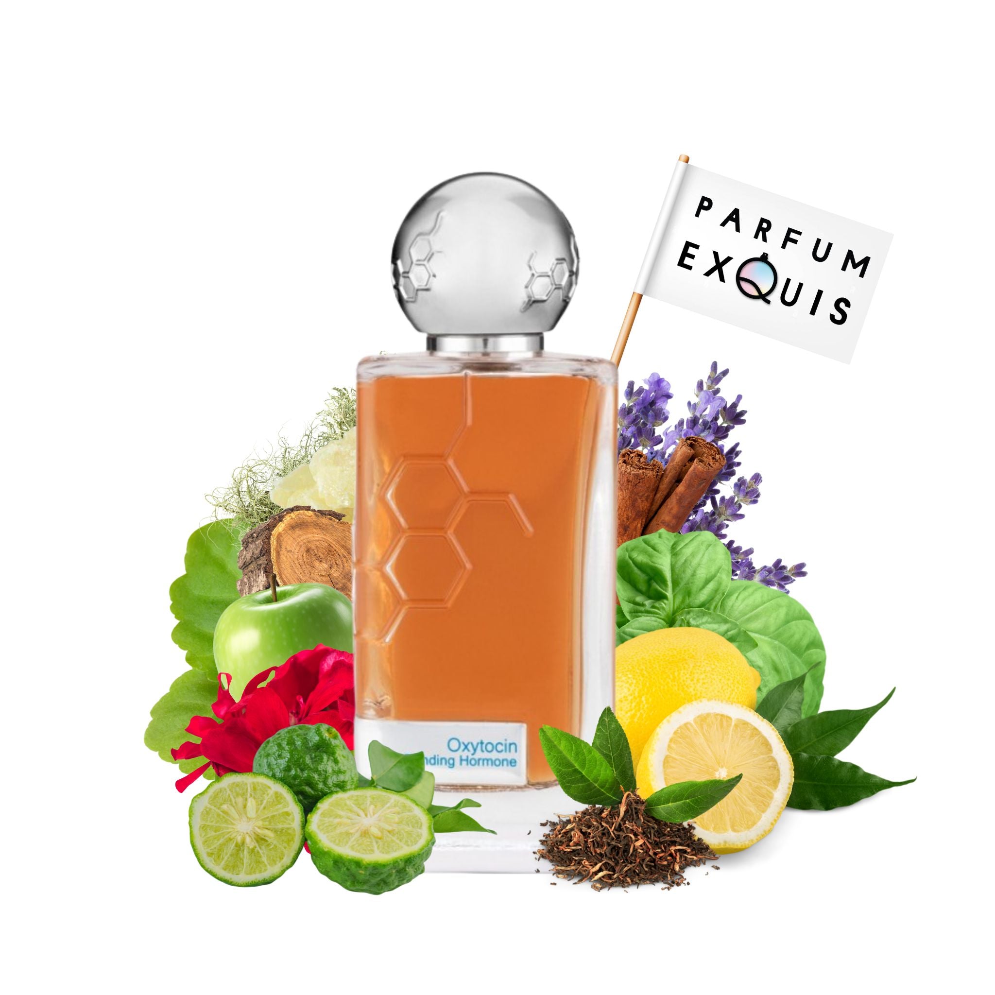 Perfume Hormone Paris Oxytocin