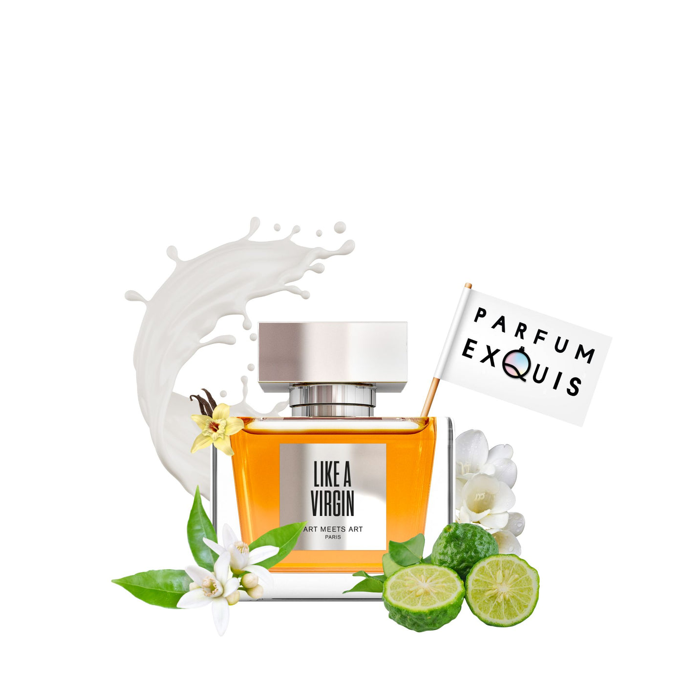 Like a Virgin Unplugged Art Meets Art