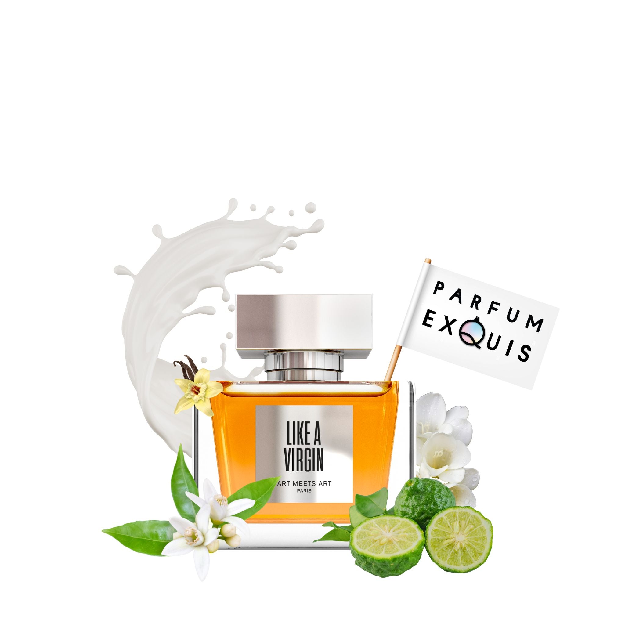 Like a Virgin Unplugged Art Meets Art