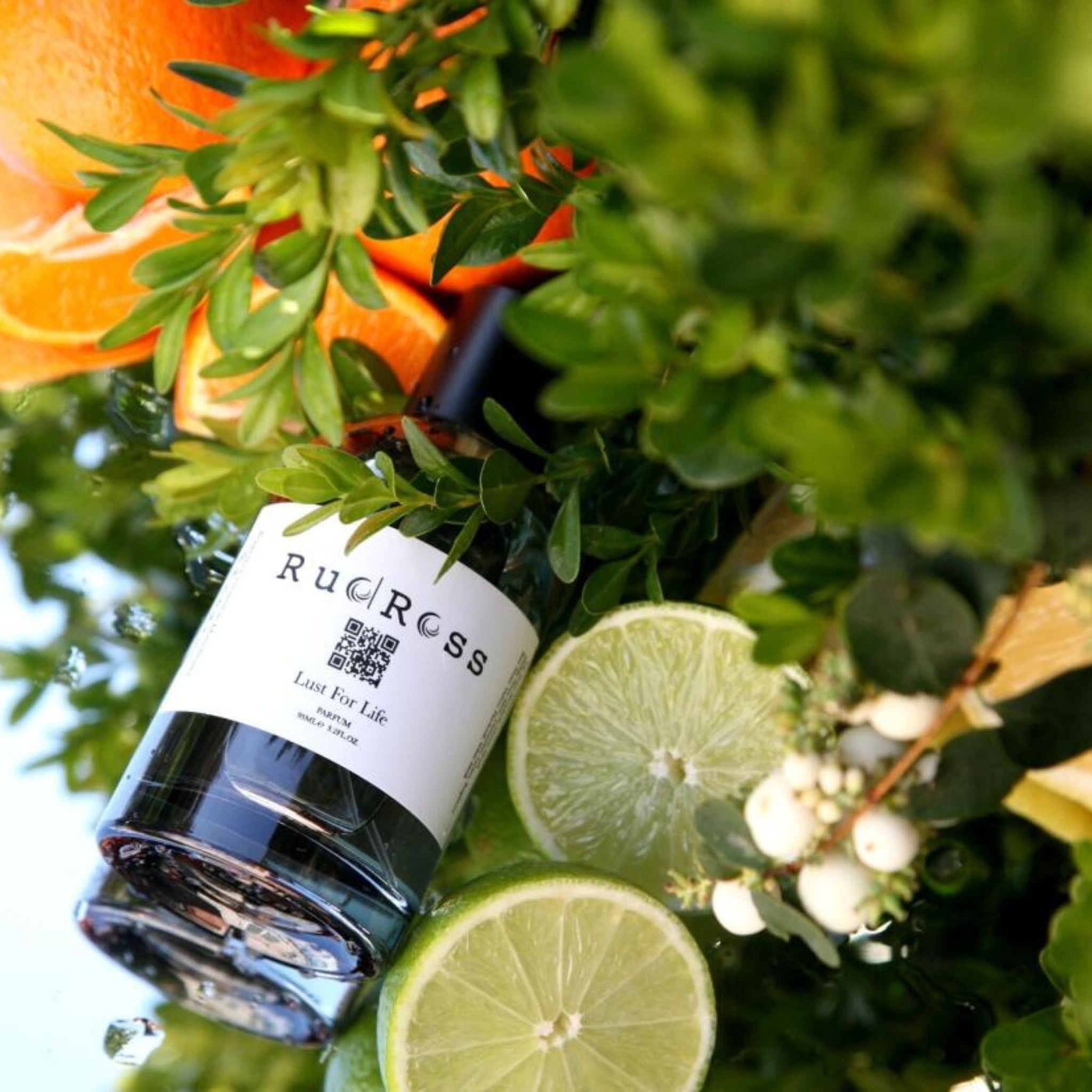 Lust for Life Rudross Perfume
