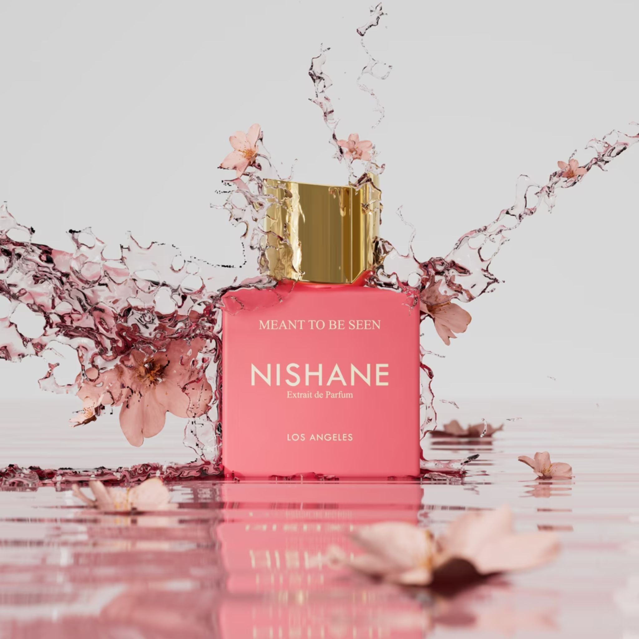 Meant To Be Seen Nishane Fragrance