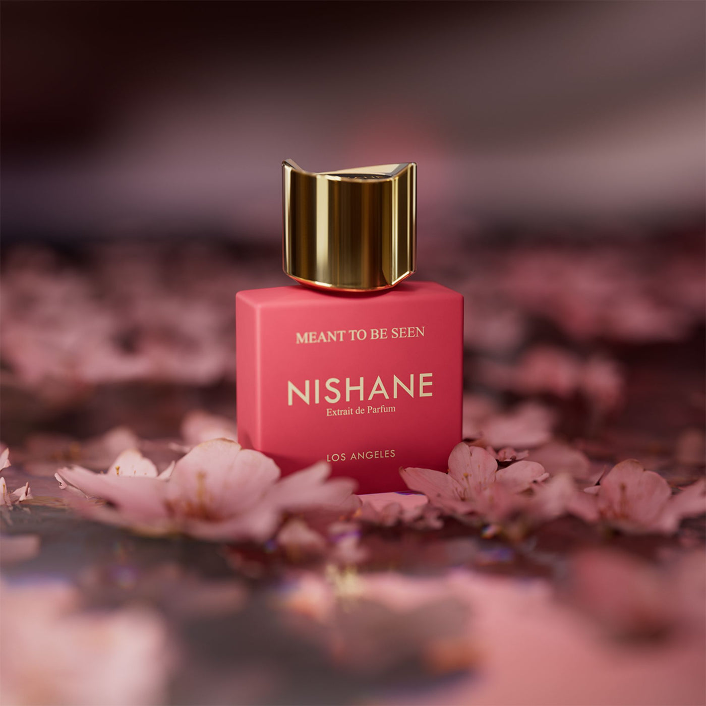 Meant To Be Seen Nishane New perfume