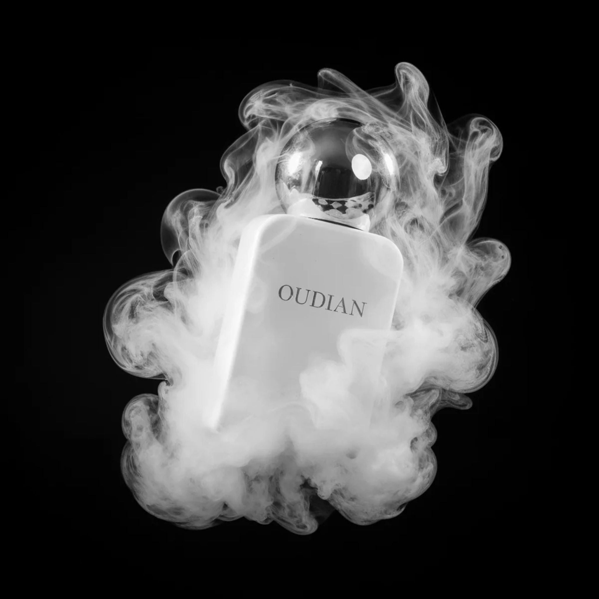 Fragrance Oudian Pernoire