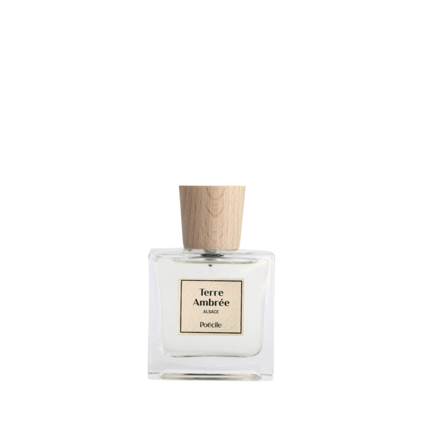 Terre Ambree Poecile