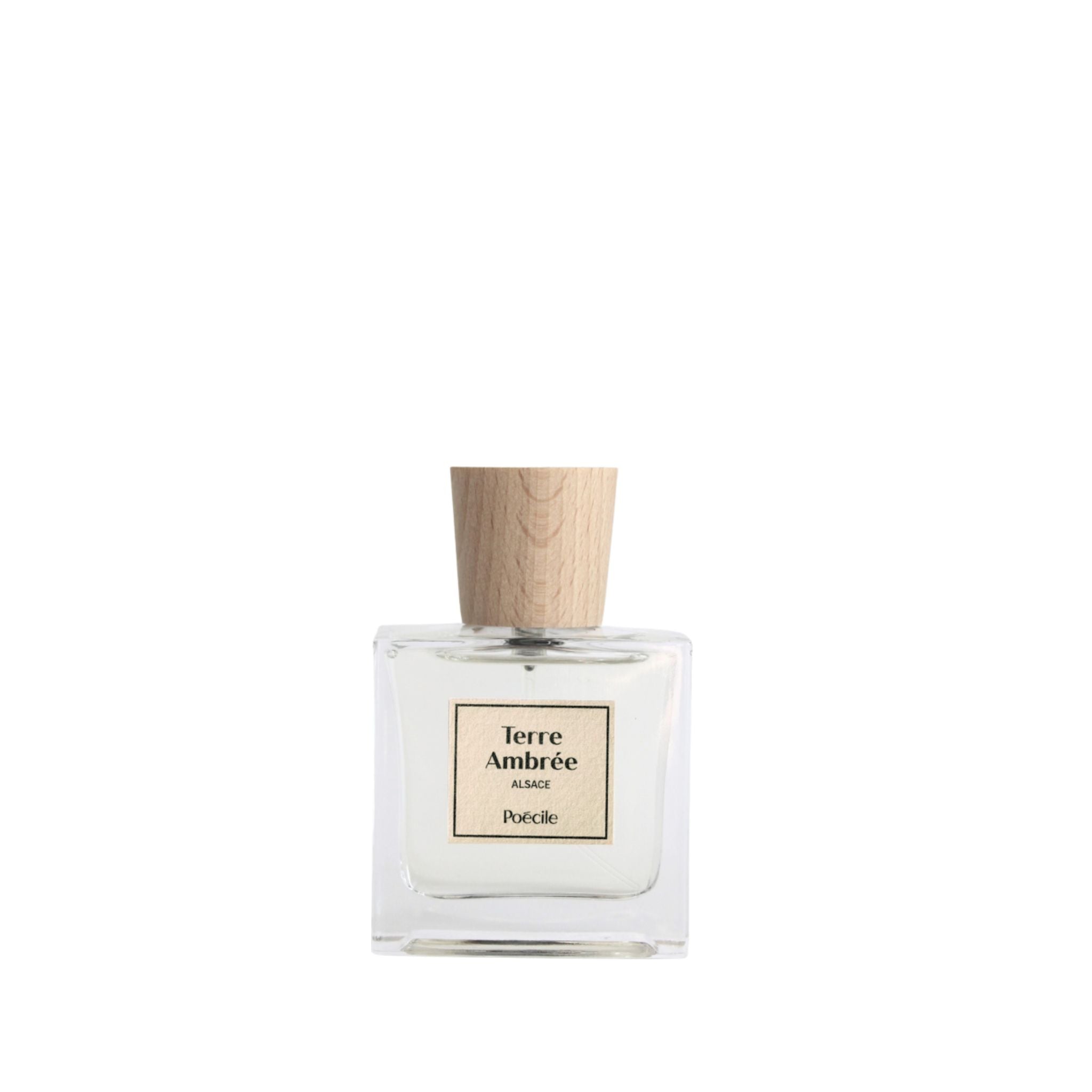 Terre Ambree Poecile